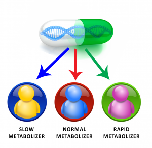 METABOLIZERS